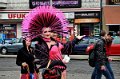 CSD2013   100